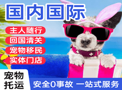 阆中古城机场物流国际宠物托运 【国