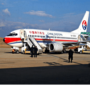 阆中古城机场物流航空快运业稳步发展的原因是什么？